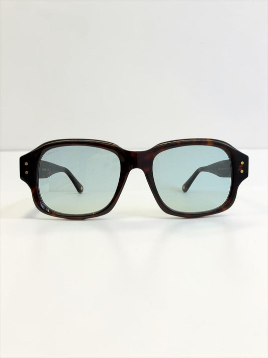 ECHO Tortoise Wayfarer